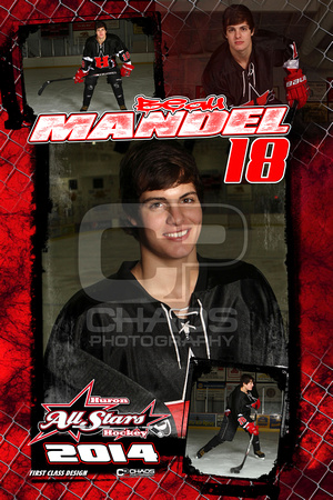 Hockey1314_Mandel