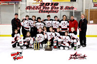 February 21, 2016 - Huron PW vs. Sioux Falls East - State Tourney Championship Game