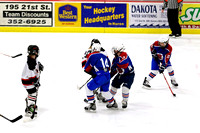 February 19, 2016 - Huron PW vs. Brookings - State Tourney
