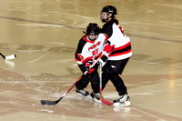 Lady All-Stars U14 vs Sioux Falls Feb 17, 2009