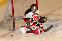 Hockey 2008-2009